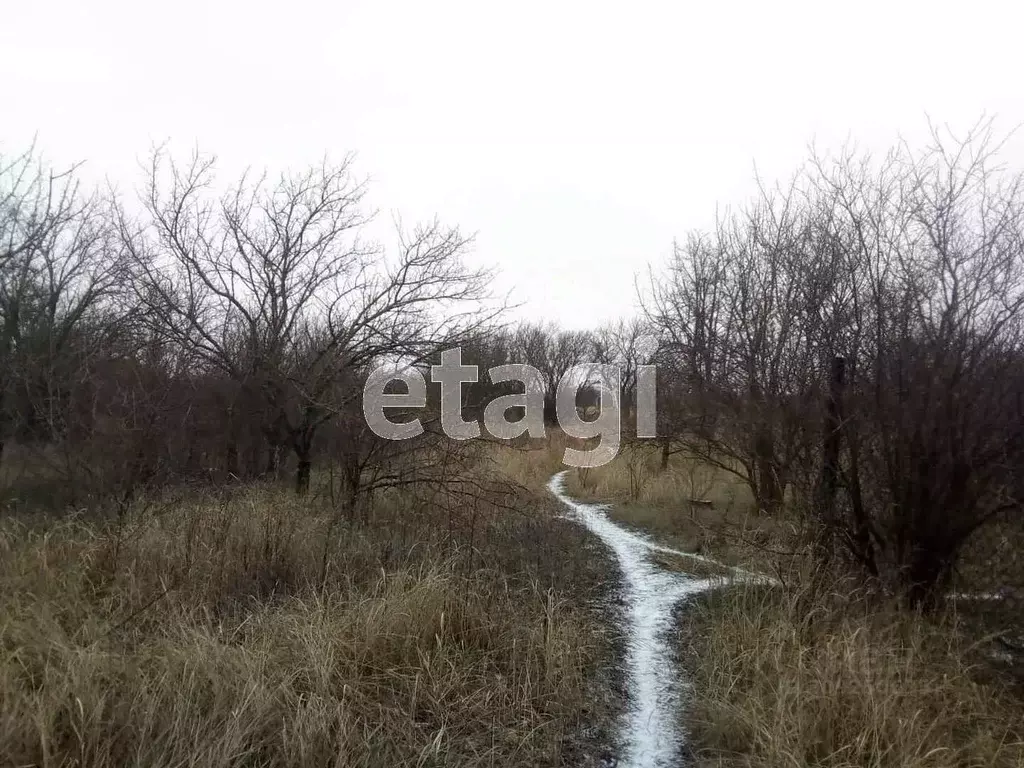 Участок в Краснодарский край, Ейское городское поселение, пос. ... - Фото 0