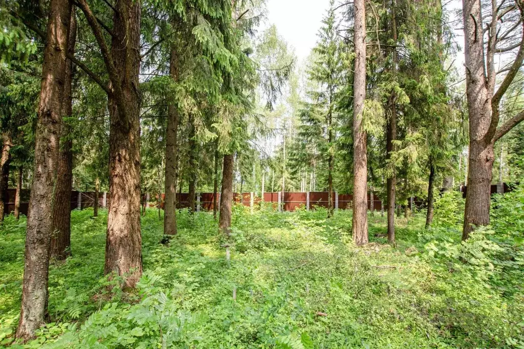 Участок в Московская область, Солнечногорск городской округ, д. Покров ... - Фото 2