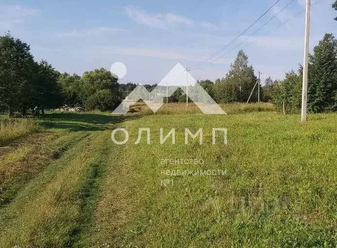 Участок в Вологодская область, Череповецкий район, с. Ильинское ... - Фото 2