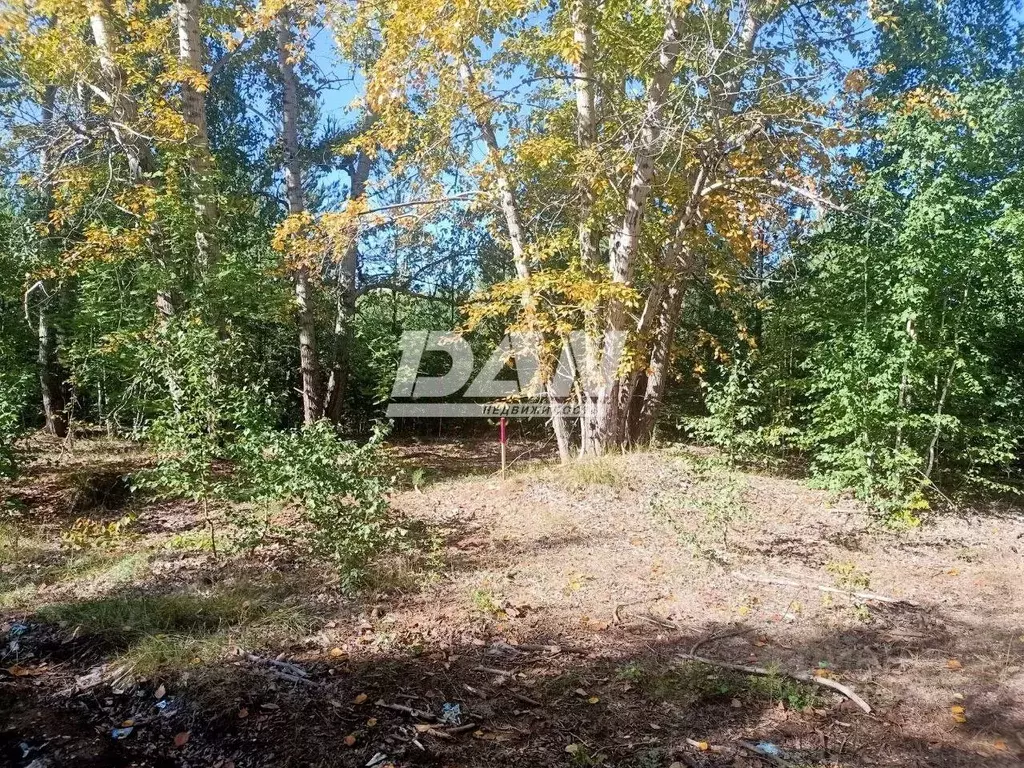 Участок в Челябинская область, Аргаяшский район, Кузнецкое с/пос, с. ... - Фото 1