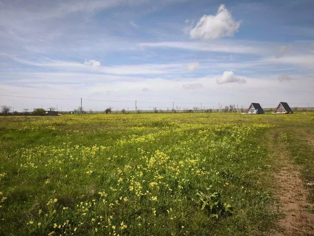 Участок в Крым, Черноморский район, с. Окуневка ул. Крупской (12.4 ... - Фото 1