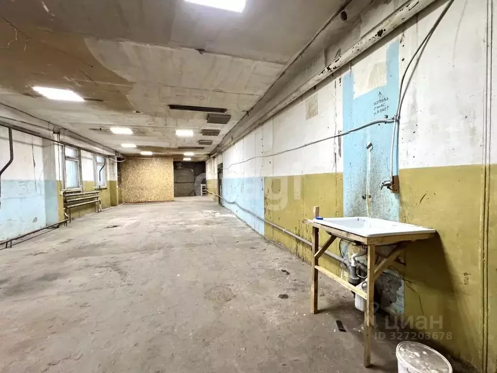 Помещение свободного назначения в Новосибирская область, Новосибирск ... - Фото 2