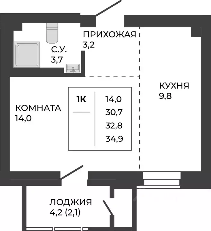 1-к кв. Алтайский край, Барнаул ул. Шумакова, 7к2 (32.8 м) - Фото 0