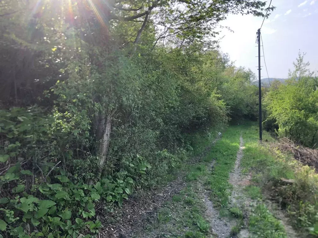 Участок в Краснодарский край, Сочи Королек садовое товарищество,  (6.0 ... - Фото 2