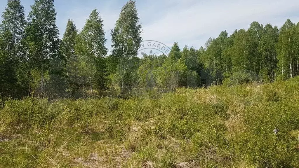 Участок 23,96 га (СНТ, ДНП) - Фото 0