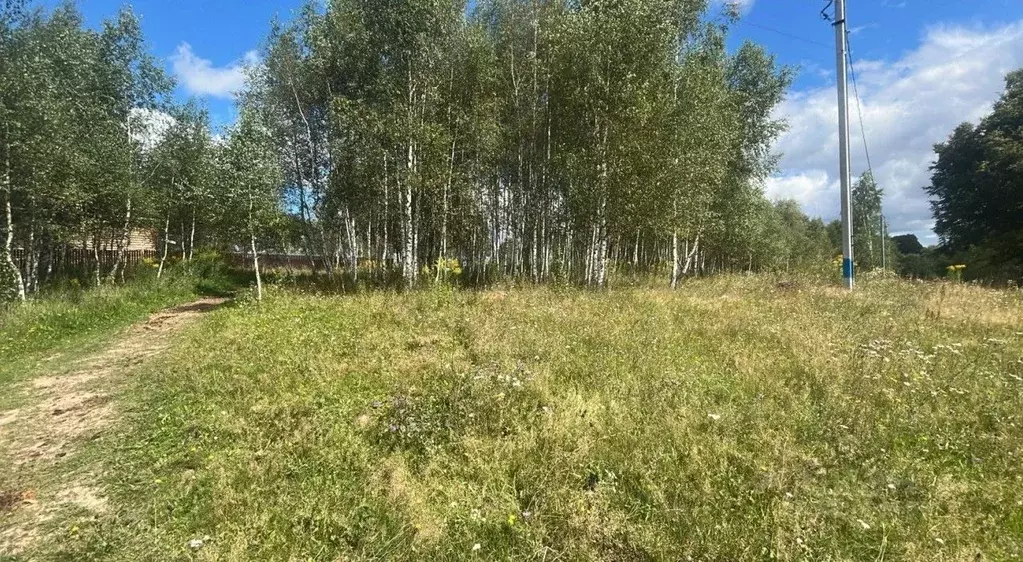 Участок в Московская область, Ступино городской округ, д. Прудно ул. ... - Фото 1