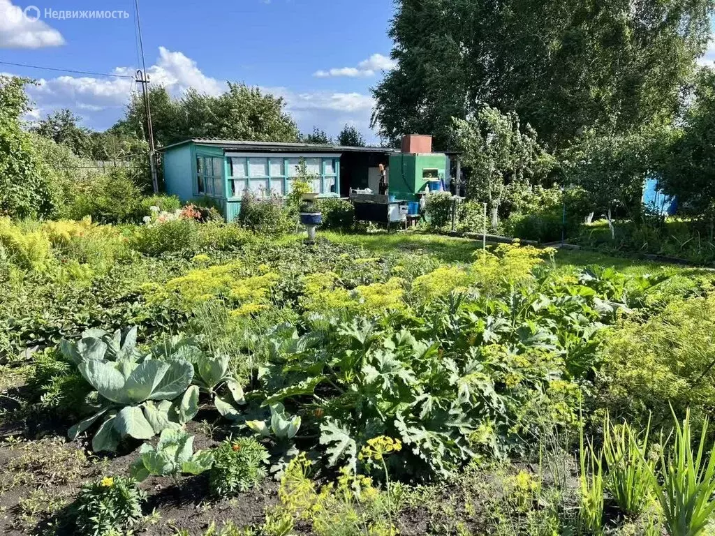 Дом в муниципальный округ Омский район, СНТ Энергетик, 12-я аллея (20 ... - Фото 2
