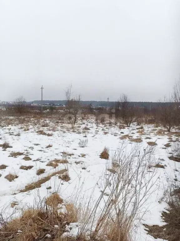 Участок в Курская область, Курский район, Моковский сельсовет, д. ... - Фото 0