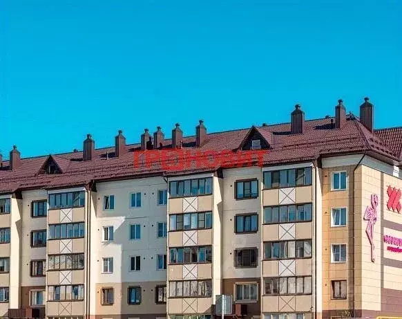 3-к кв. Новосибирская область, Новосибирский район, Мичуринский ... - Фото 1