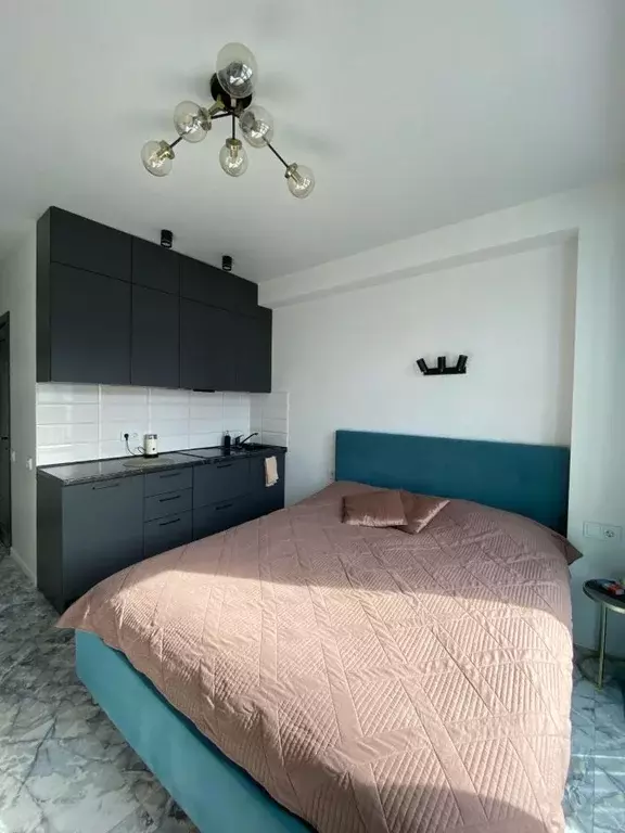 Студия Краснодарский край, Сочи Курортный просп., 96Г (21.0 м) - Фото 2