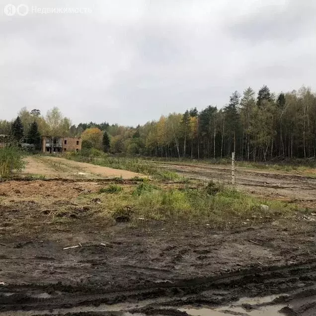 Участок в Московская область, городской округ Пушкинский, посёлок ... - Фото 2