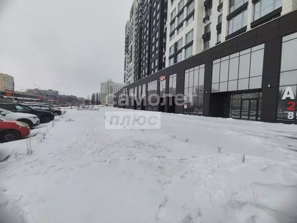 Офис в Пензенская область, Пенза ул. Лозицкой, 1 (64 м) - Фото 2