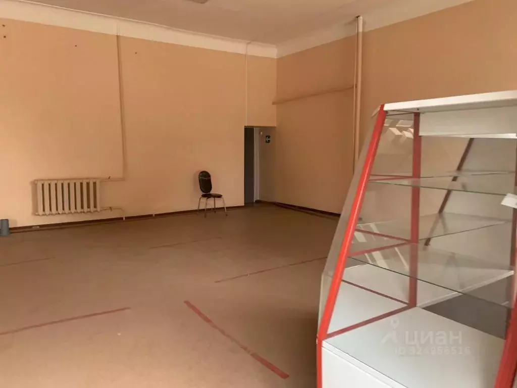 Помещение свободного назначения в Липецкая область, Лебедянь Почтовая ... - Фото 2