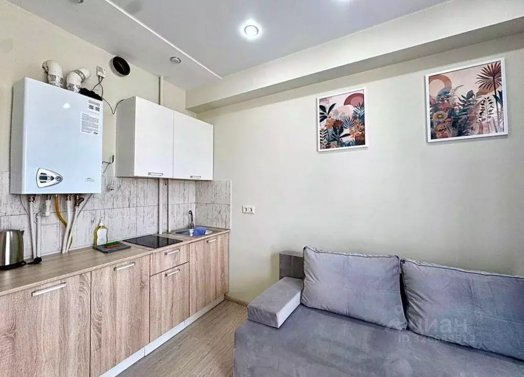 Студия Краснодарский край, Сочи ул. Тимирязева, 34Б (16.6 м) - Фото 1