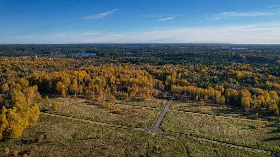 Участок в Ленинградская область, Всеволожский район, Куйвозовское ... - Фото 1