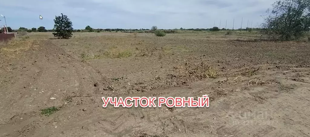 Участок в Волгоградская область, Среднеахтубинский район, Фрунзенское ... - Фото 1