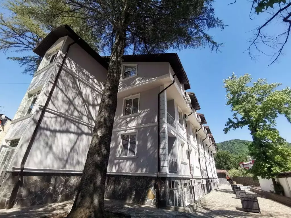 Студия Краснодарский край, Сочи ул. Чекменева, 18 (16.1 м) - Фото 1