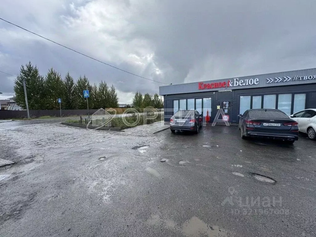 Участок в Тюменская область, Тюменский муниципальный округ, Нива СНТ ... - Фото 2