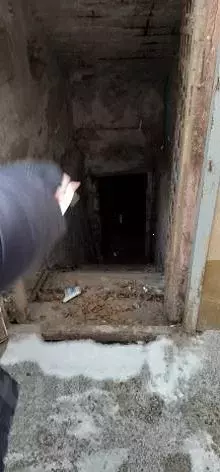 Помещение свободного назначения в Воронежская область, Воронеж ул. ... - Фото 1