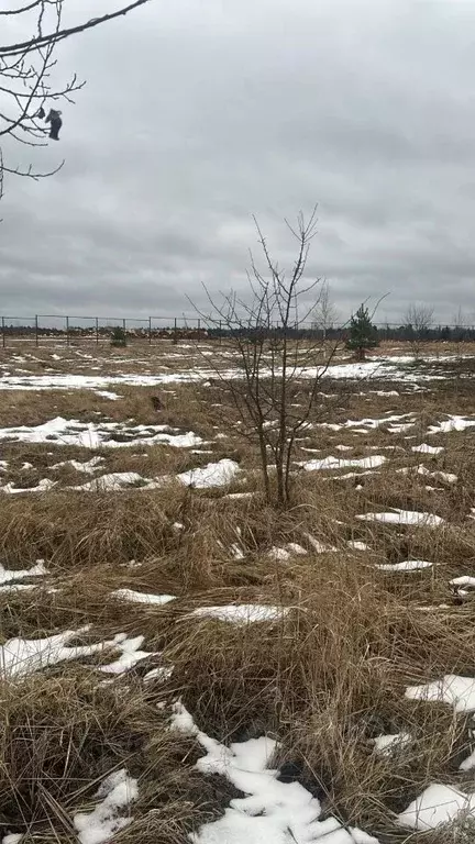 Участок в Московская область, Ступино городской округ, д. Лапино  ... - Фото 0
