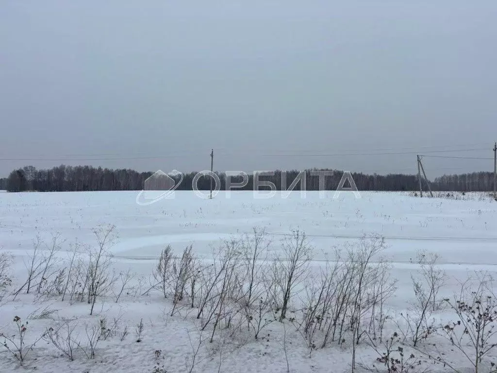 Участок в Тюменская область, Тюменский муниципальный округ, с. Каменка ... - Фото 2