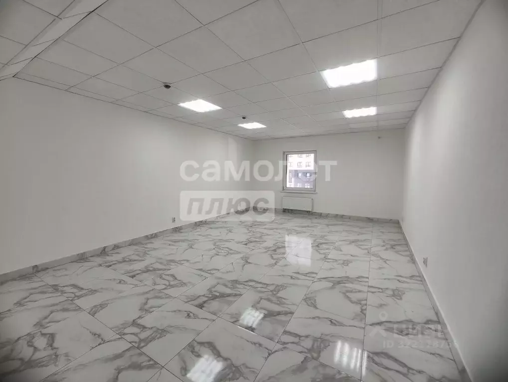 Офис в Пензенская область, Пенза ул. Яшиной, 6 (41 м) - Фото 1