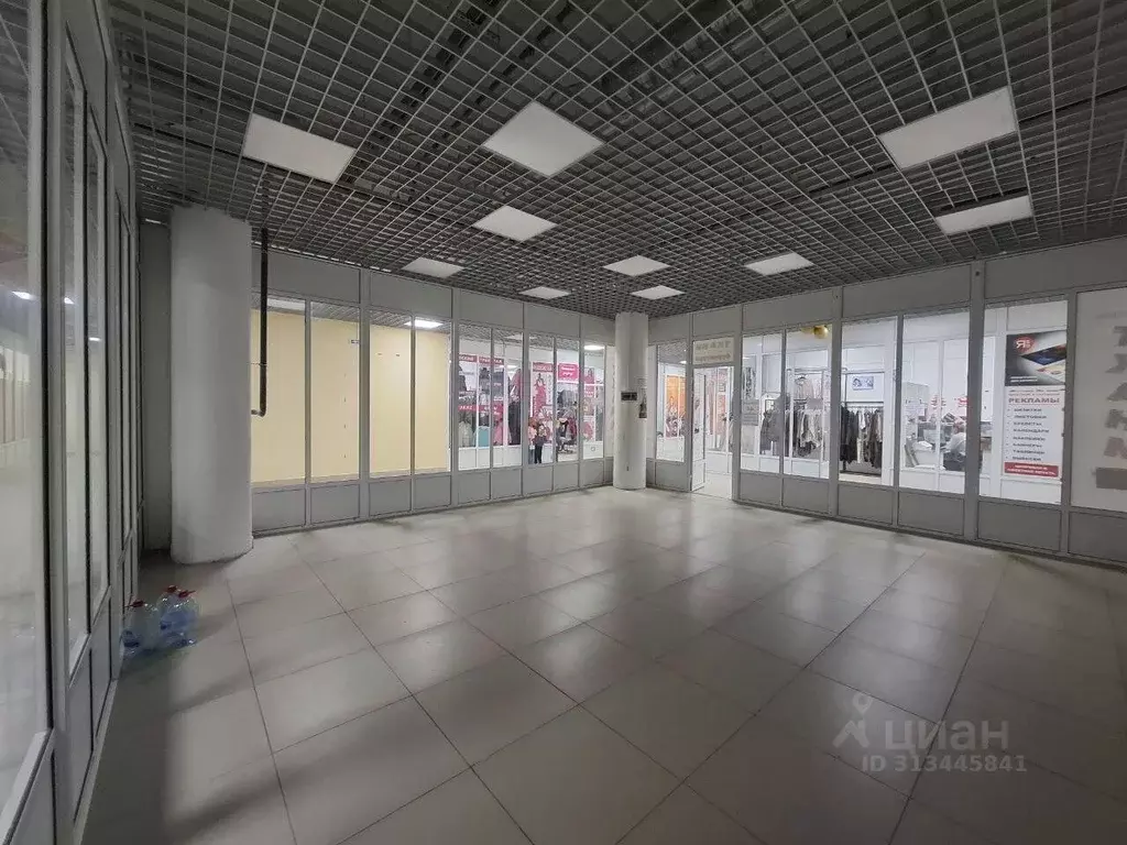 Помещение свободного назначения в Владимирская область, Владимир ул. ... - Фото 1