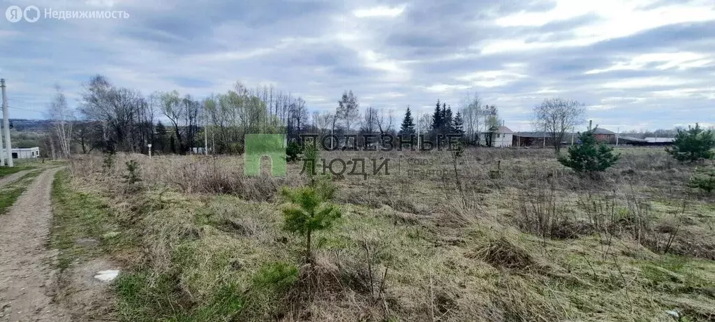 Участок в Орловский муниципальный округ, деревня Пашково (25 м) - Фото 1