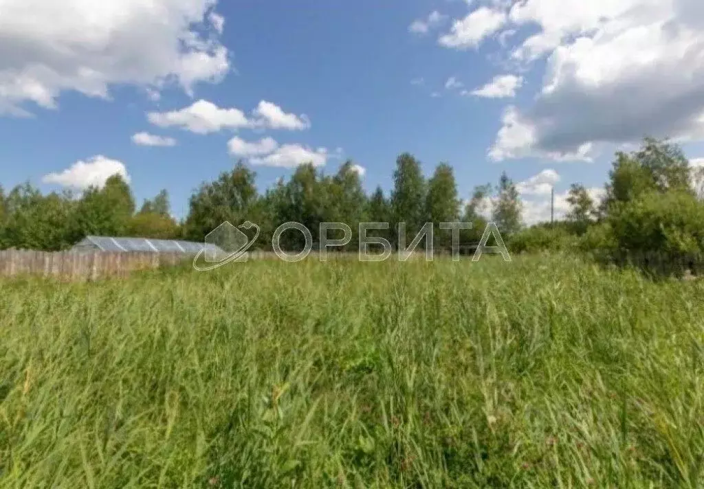 Участок в Тюменская область, Тюмень Лаванда садовое товарищество,  ... - Фото 1