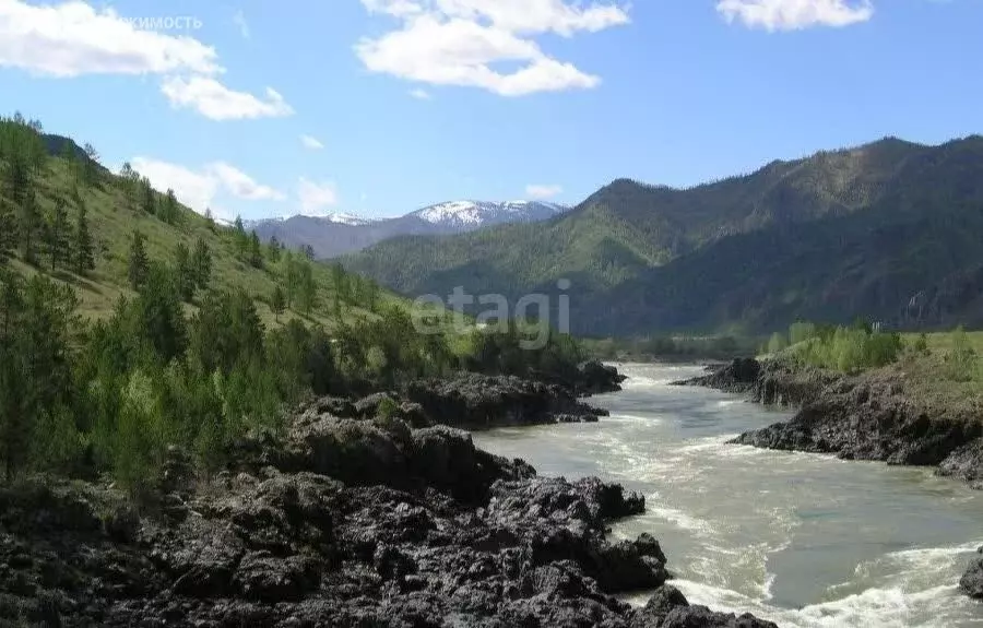 Участок в село Ороктой, Центральная улица (19.4 м) - Фото 0