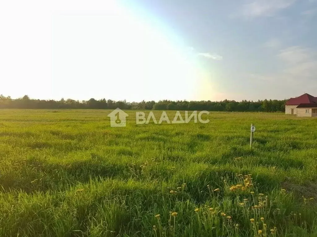 Участок в Владимирская область, Судогодский район, Муромцевское ... - Фото 1