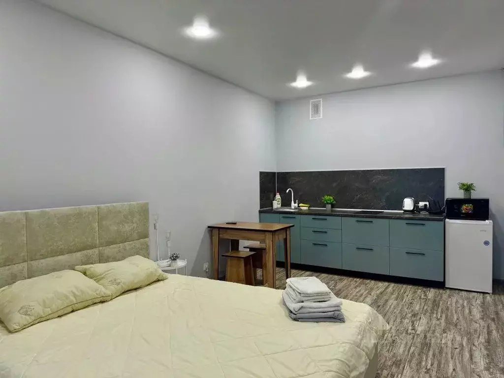 Студия Алтайский край, Барнаул Трудовой пер., 28А (30.0 м) - Фото 1