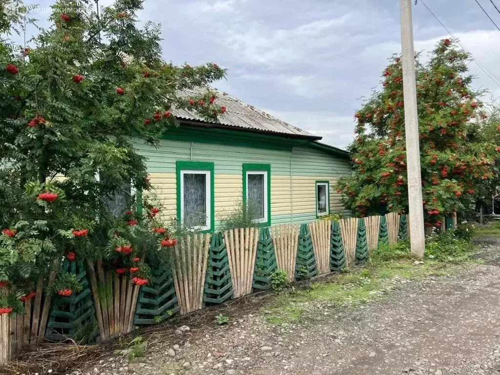 Дом в Абакан, улица Белинского (50.4 м) - Фото 1