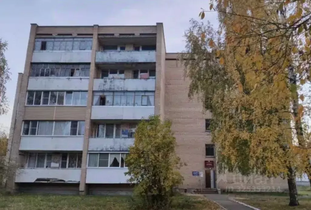 2-к кв. Владимирская область, Радужный 9-й кв-л, 6/1 (40.3 м) - Фото 1