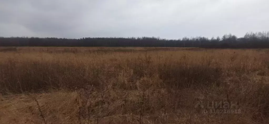 Участок в Московская область, Шатура  (14.6 сот.) - Фото 0