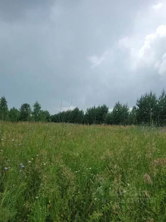 Участок в Курганская область, Кетовский муниципальный округ, с. ... - Фото 2