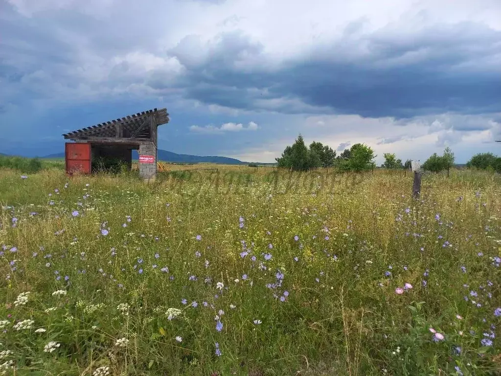 Участок в Алтайский край, Советский район, с. Платово Молодежная ул., ... - Фото 0