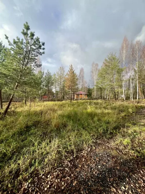 Участок в Ленинградская область, Ломоносовский район, Ропшинское ... - Фото 1
