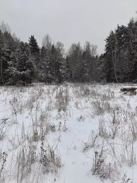 Участок в Московская область, Павлово-Посадский городской округ, д. ... - Фото 0