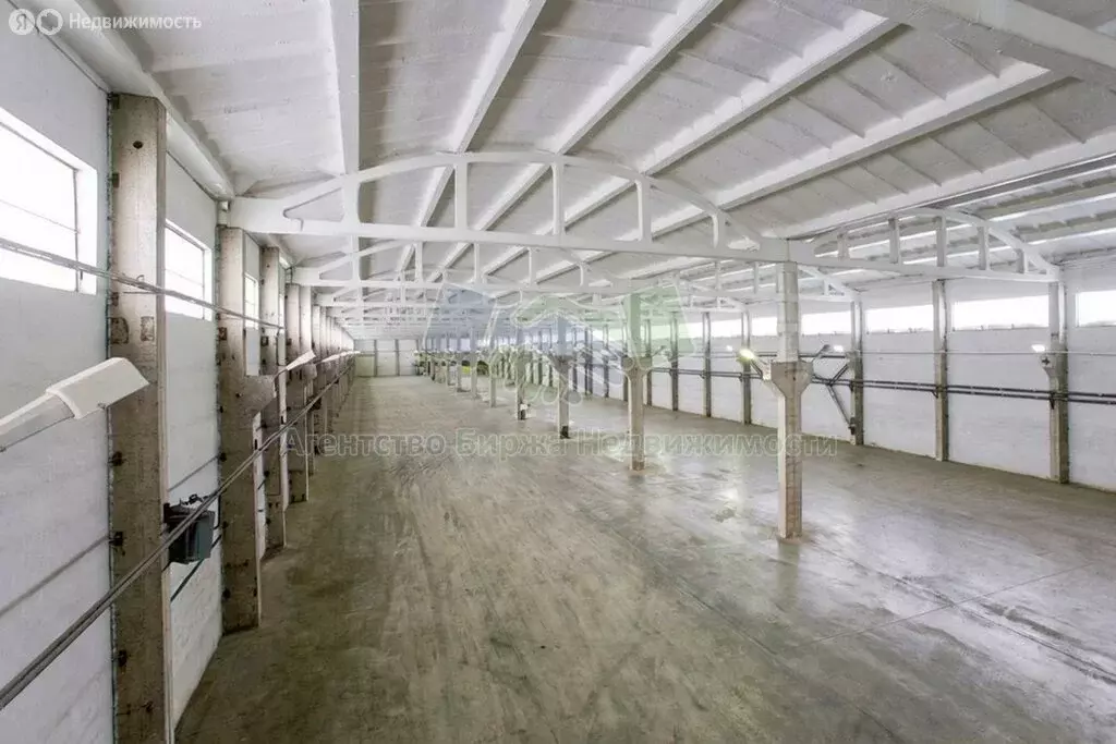 Производственное помещение (3200 м) - Фото 1