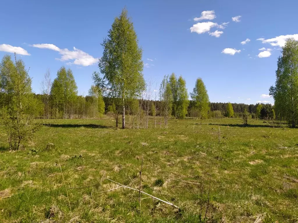 Участок в Тверская область, Кимрский муниципальный округ, д. Слободище ... - Фото 2