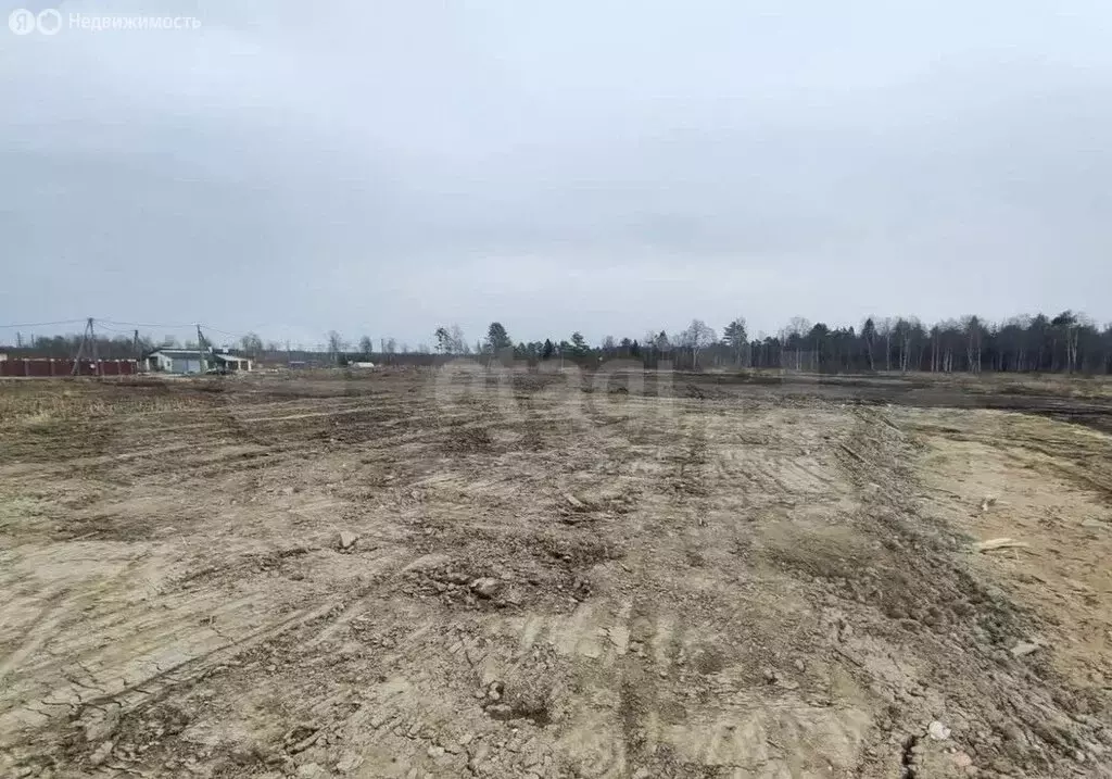 Участок в Оржицкое сельское поселение, урочище Брандовка (6 м) - Фото 2