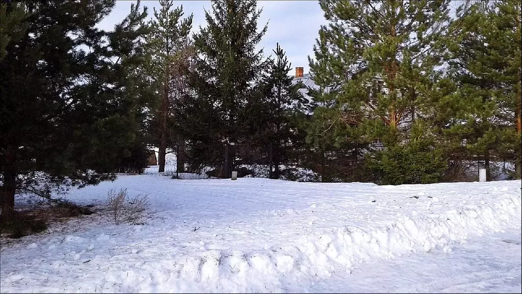 Участок в Ярославская область, Переславль-Залесский городской округ, ... - Фото 0