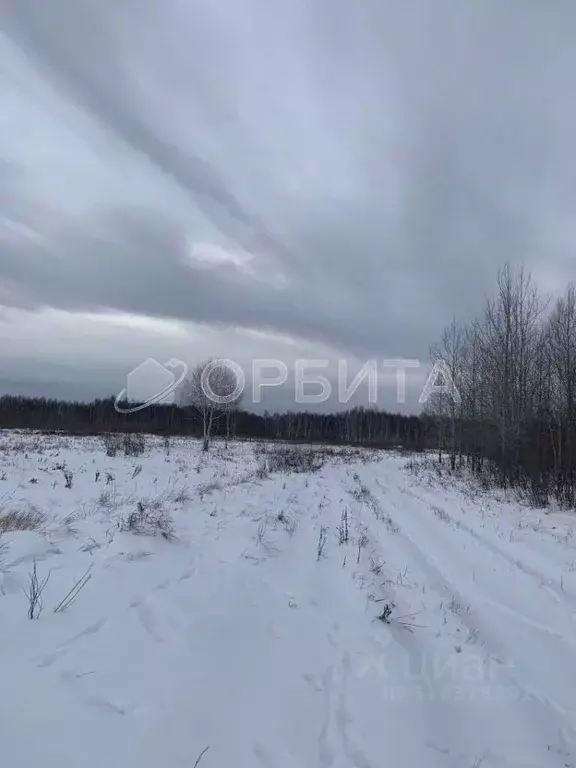 Участок в Тюменская область, Тюменский район, д. Решетникова  (240.0 ... - Фото 1