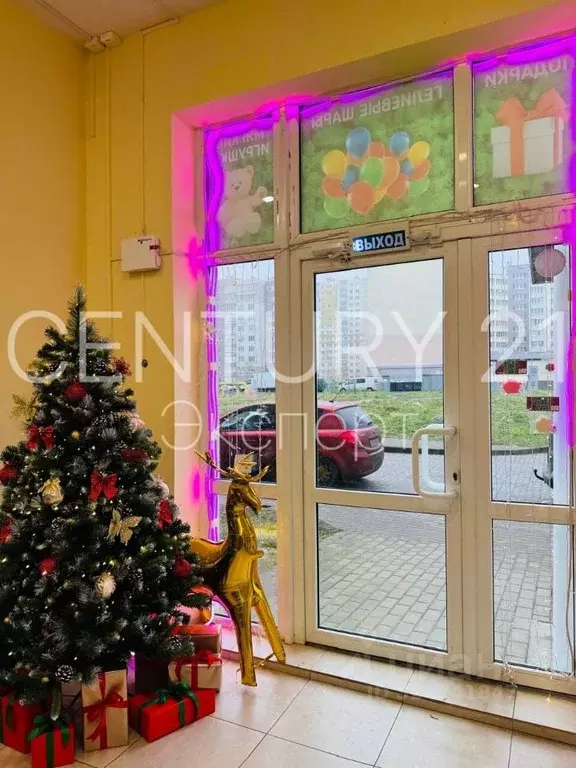 Помещение свободного назначения в Калининградская область, Калининград ... - Фото 1