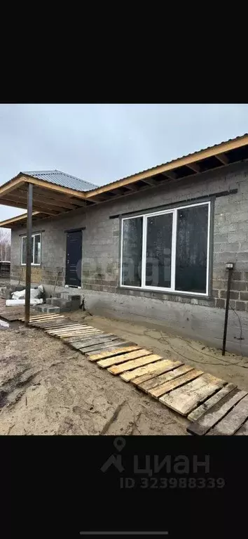 Участок в Тюменская область, Тюмень Садовое товарищество Липовый ... - Фото 1