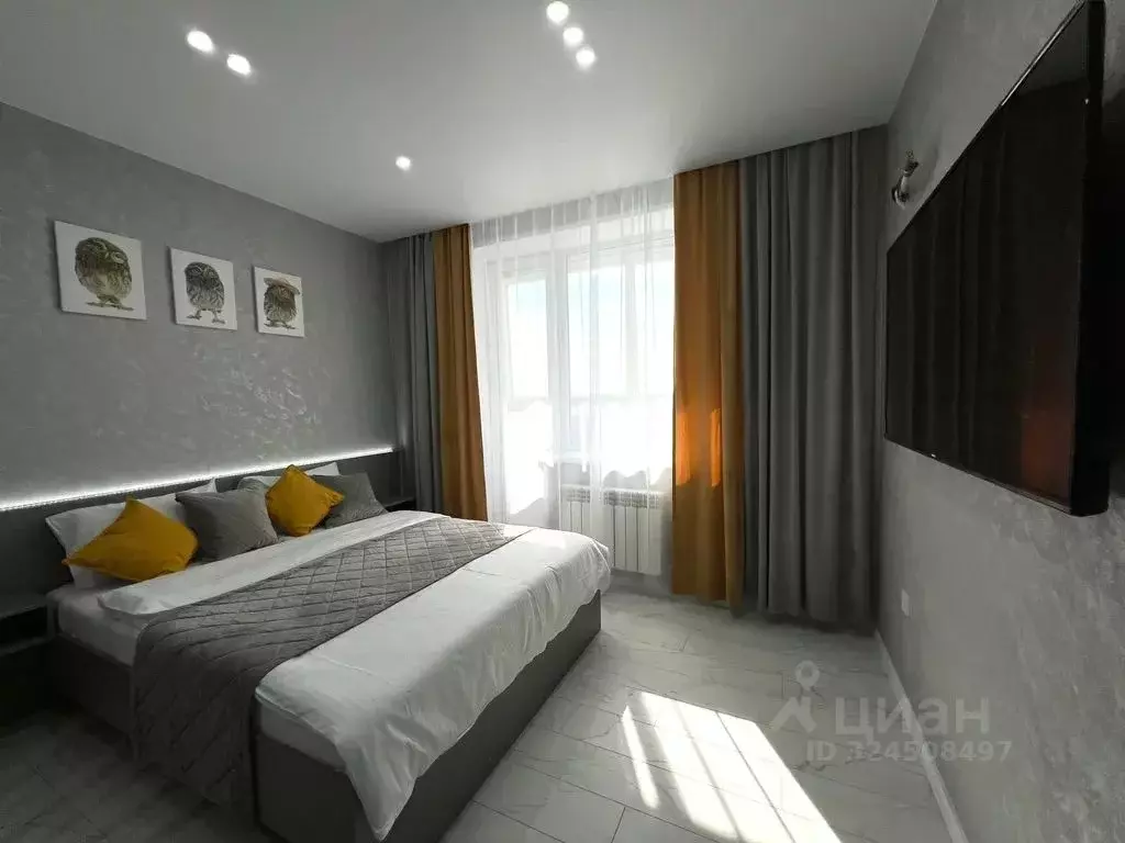 Студия Новосибирская область, Бердск ул. Ленина, 114 (25.0 м) - Фото 2