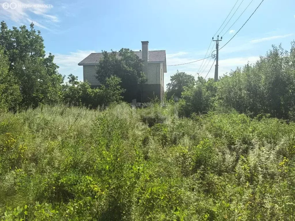 Участок в Благовещенск, село Верхнеблаговещенское (15 м) - Фото 2