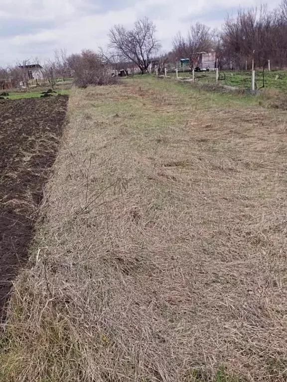 Участок в Белгородская область, Белгородский район, Никольское с/пос, ... - Фото 1