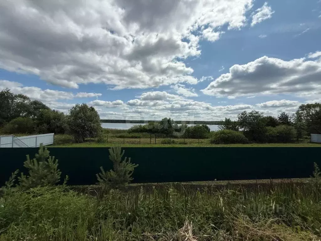 Участок в Ярославская область, Некрасовский муниципальный округ, ... - Фото 1